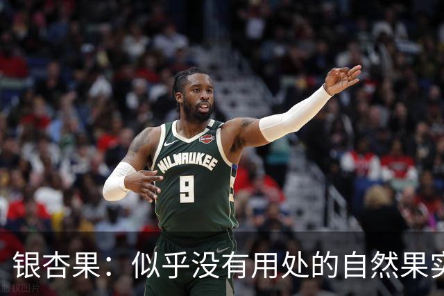 银杏果：似乎没有用处的自然果实